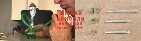 прущие грибы Верхнеуральск