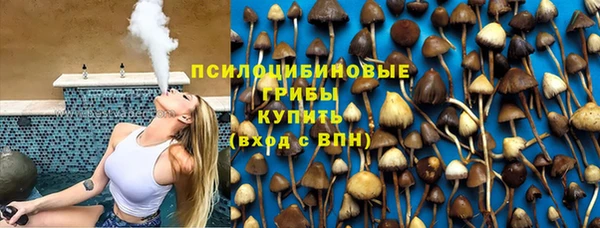 прущие грибы Верхнеуральск